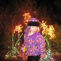 Bellevue Botanical Gardens